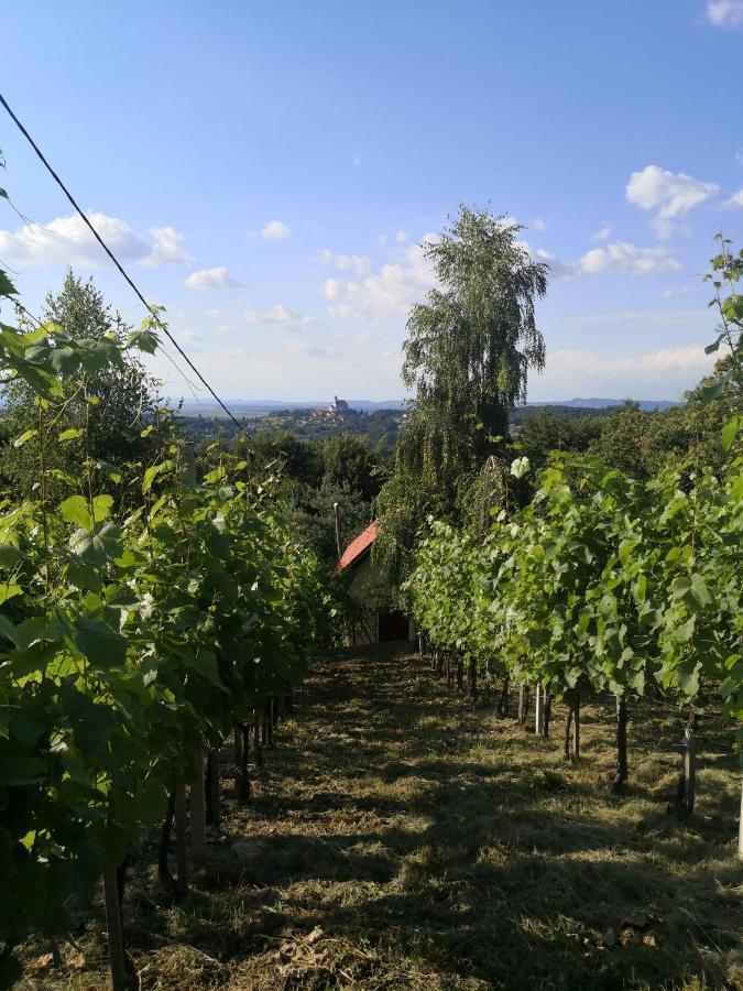Ptujska GoraVikendica Sirec别墅 外观 照片