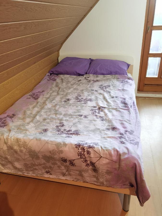 Ptujska GoraVikendica Sirec别墅 外观 照片
